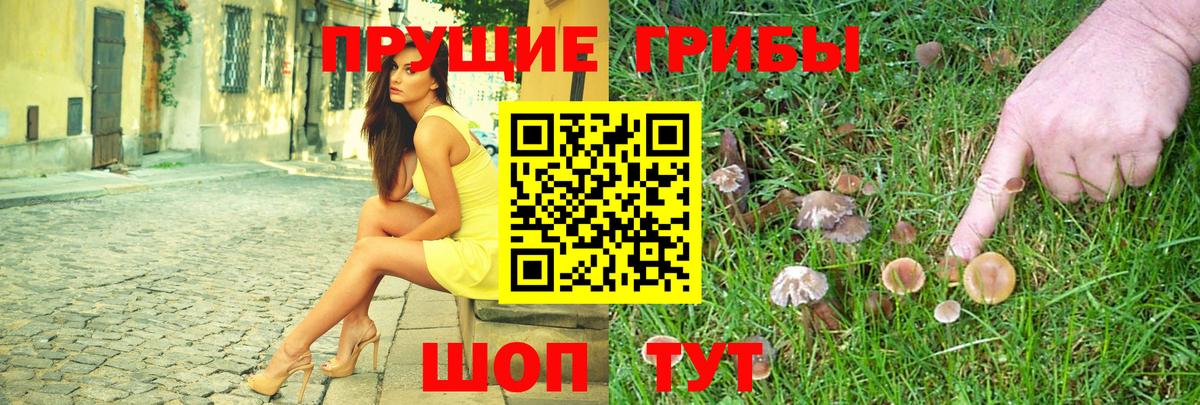 Галлюциногенные грибы Psilocybe Самара