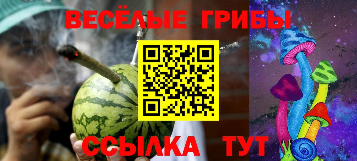 Самара  Псилоцибиновые грибы Psilocybine cubensis  Вход с VPN  Галлюциногенные грибы прущие грибы 